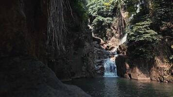 Beautiful summer waterfall and nature with abundant forests. Namtok Phlio National Park Chanthaburi, Thailand video
