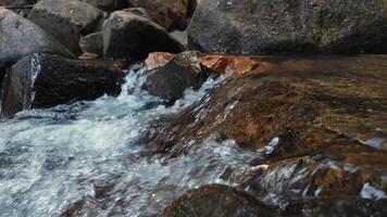 Helder water van natuurlijk streams in de Woud vloeiende door de rotsen in zomer. langzaam beweging 4k video