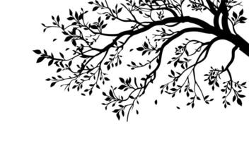 Tree branches silhouette isolated on white background. illustration forest design and element landscape season. Autumn clip art and decoration abstract outdoor vector