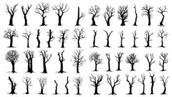 Bare trees silhouettes set. illustration outline forest and trunk wood collection. Art shape drawing and element stem clip art. Dead tree abstract isolated vector
