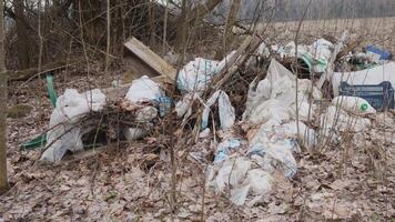 A pile of garbage in the forest 4k video