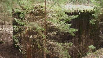 partie de une béton soviétique cuisson point dans le forêt video