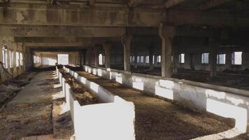 Abandoned cowshed in a Russian village video