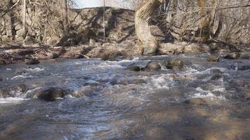 mountain stream spring background water video