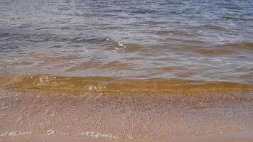 ver de olas golpear el orilla de un lago 4k video
