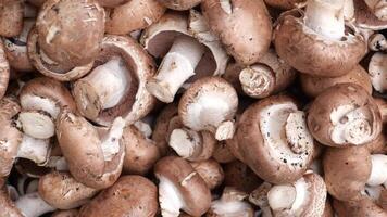 Top View Of Uncooked Fresh Raw Royal Champignon Mushrooms video