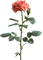 Blume - - China Rosa Rosen mit Blätter auf transparent Hintergrund png