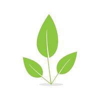 Leaves icon isolated illustration vector