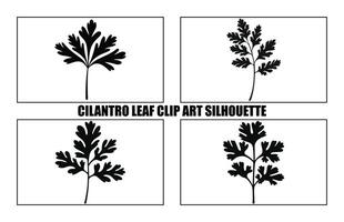 cilantro leaves silhouette. silhouettes of cilantro leaves black Clipart Collection vector