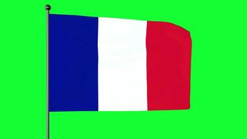 3d illustratie van de vlag van Frankrijk is een driekleur vlag met drie verticaal bands gekleurd blauw, wit, en rood. de Frans driekleur of eenvoudig de driekleur video