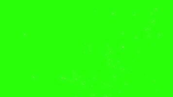 Nature. Chromakey. Dandelion seeds are blown by the wind. Flying from the bottom to the top. 3D. 4K. Isolated black background. Motion graphics..mp4 video