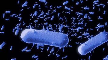 remédio. Câmera voar através azul bactérias e vírus. anatomia. dentro uma humano ser. imunidade. video