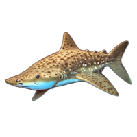 Shark Icon design png