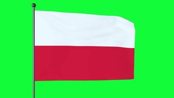 Green screen 3D Illustration of The national flag of Poland consists of two horizontal stripes of equal width, the upper one white and the lower one red. video