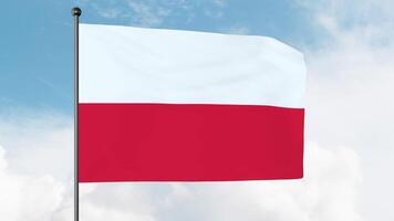 3D Illustration of The national flag of Poland consists of two horizontal stripes of equal width, the upper one white and the lower one red. video