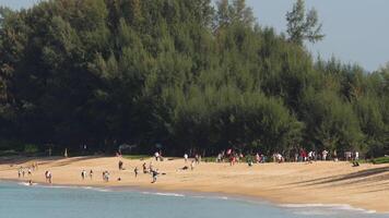 personas en mai Khao playa cerca el pista a phuket aeropuerto. persona mirando a el volador avión encima el mar, viaje y activo estilo de vida concepto video