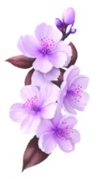 The beauty of natural flora with flowers png