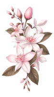 The natural beauty of jasmine flowers on a transparent background png
