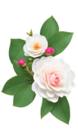 The beauty of natural flora with white flowers on a transparent background png