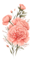 The beauty of natural flora with pink flowers on a transparent background png