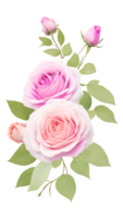 The natural beauty of purple roses on a transparent background png