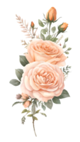 a natural beleza do rosas em uma transparente fundo png