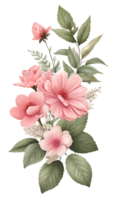 The beauty of natural flora with pink flowers on a transparent background png