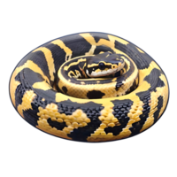 Snake Icon design png