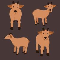 simple goat set illustration, goat cartoon for eid al adha vector