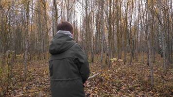 uma Garoto anda em sozinho dentro a outono floresta e ondas uma bastão video