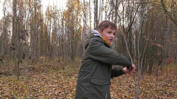 chico camina solo en el otoño bosque y olas un palo. chico teniendo divertido al aire libre video