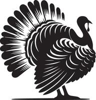 Turkey silhouette illustration isolated on white background. vector