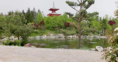 giapponese giardino nel krasnodar galitskij parco. tradizionale asiatico parco con stagno video