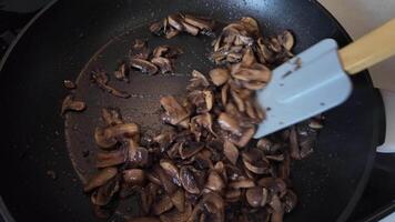 fatiado cogumelos salteando dentro uma não bastão fritar panela com uma espátula, ideal para vegetariano receitas ou saudável comendo conteúdo video