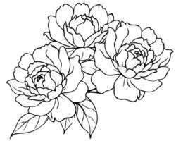 Black white line sketch flower art vector