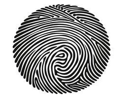 Fingerprint identification design vector