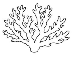Delicate coral outline icon in vector