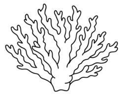 Delicate coral outline icon in vector