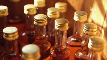 cognac vin i en trä- tunna skön tjänande av alkoholhaltig drycker vintillverkare i en trä- tunna video