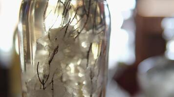 cristal clair Vodka magnifique portion de alcoolique les boissons vignoble dans une en bois baril verre bouteille avec différent herbes video