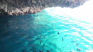 Grecia Corfù isola 05.03.2024 barca giro vicino Corfù isola attrazioni in profondità pulito chiaro acqua montagne naturale primavera passaggio barca persone turisti e i viaggiatori video