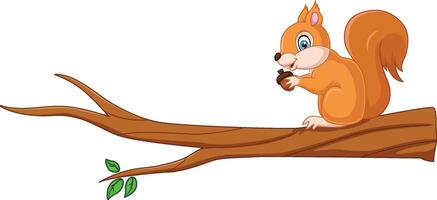 Cartoon cute squirrel on the tree branch vector