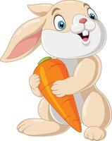 Cartoon little bunny holding a carrot vector