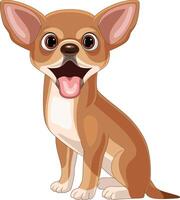 Cartoon chihuahua dog on white background vector