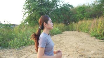 Gesundheit Pflege weiblich ausüben auf das Park. asiatisch Frau tun Übungen im Morgen. Gleichgewicht, Erholung, Entspannung, ruhig, gut Gesundheit, Glücklich, entspannen, gesund Lebensstil, reduzieren betonen, friedlich, Attitüde. video