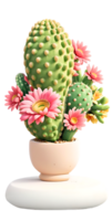 de schoonheid van cactus natuur Aan een transparant achtergrond png