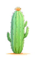 das Schönheit von Kaktus Natur auf ein transparent Hintergrund png