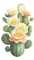 el belleza de cactus naturaleza en un transparente antecedentes png
