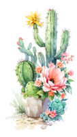 le beauté de cactus la nature sur une transparent Contexte png