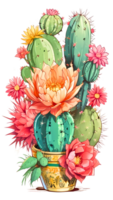 de schoonheid van cactus natuur Aan een transparant achtergrond png